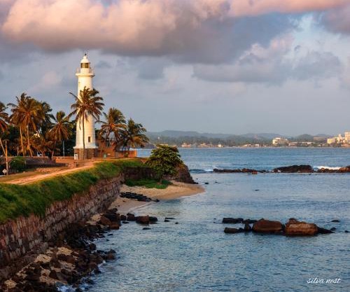 Silva Nest - Galle