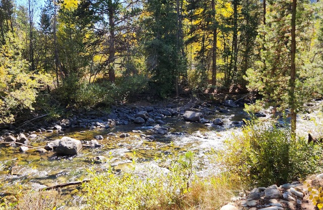 Ski, Hike, creek and steps from main st , bus to breck or copper 2 blocks away.