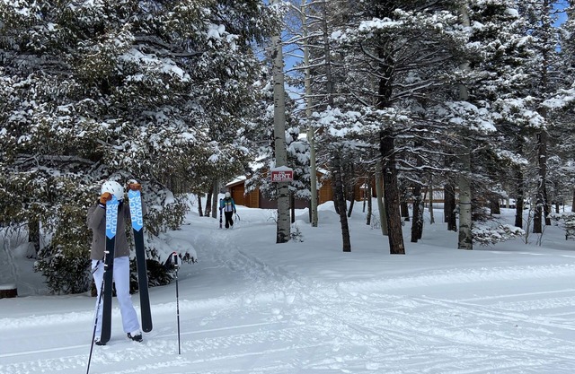 Ski-in, Ski-Out 4 Bedroom, 3.5 Bath Home - Sleeps 8-9.