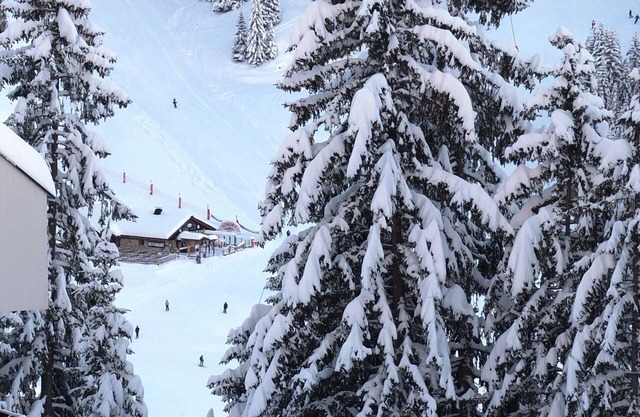 Ski Studio Apartment In Flaine Foret, Near Shops, Restaurants And Activities