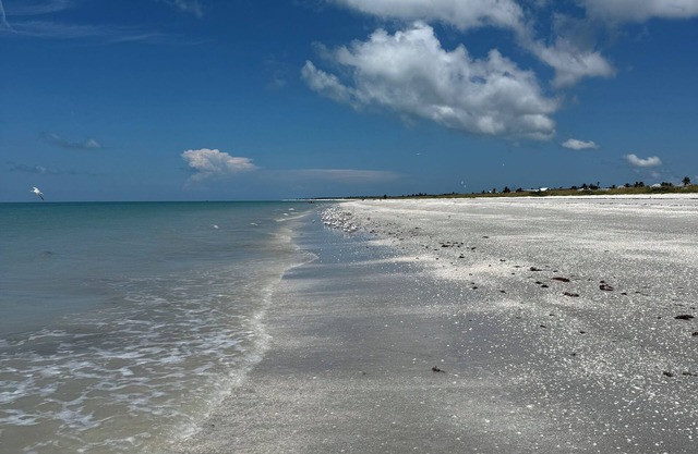 Sleeps 10 - Available Year Round - Huge Private Home