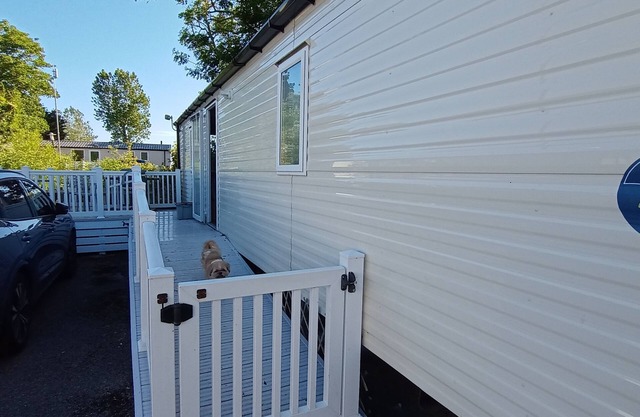 Sleeps 6, Pets Allowed & Free Parking