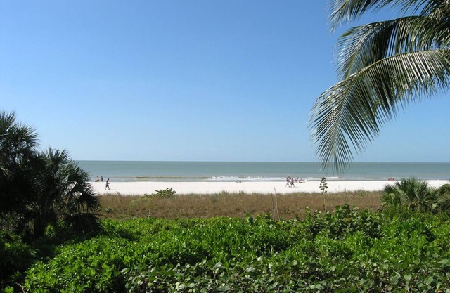 SOMERSET 110 - Your Tropical Island Paradise!