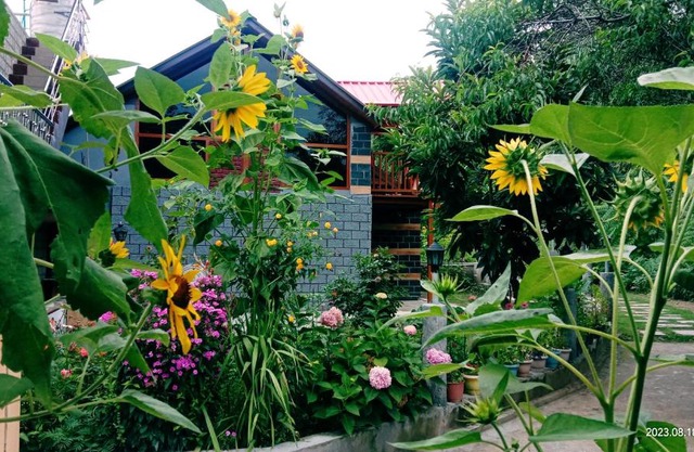 Soondhucottage&Homestay