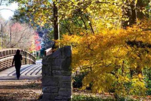 Southern Charm in Buckhead