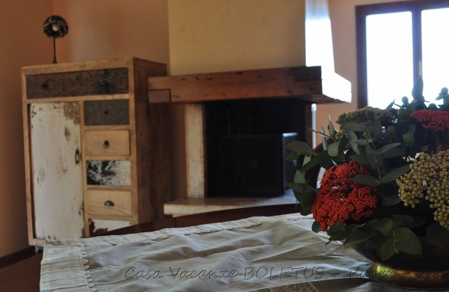 Spacious, bright, comfortable apartment equipped with all comforts