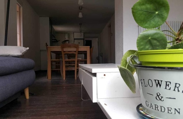 spacious cozy apartment in Isola village