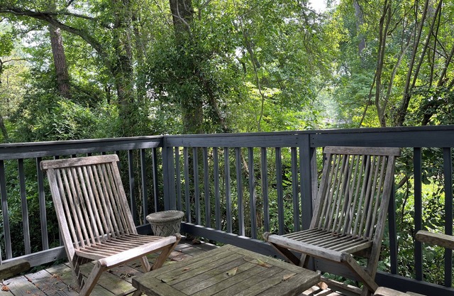 Spacious Oasis in the most Posh Neighborhood of Buckhead, very family-friendly.