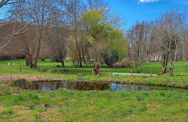 Spacious village house close to a stream