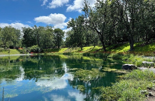Spectacular Urban Loft Downtown on Quiet Street