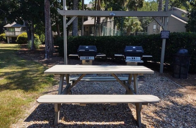 Spice Bush at Hilton Head Island near Harbour Town and Sea Pines Beach Club