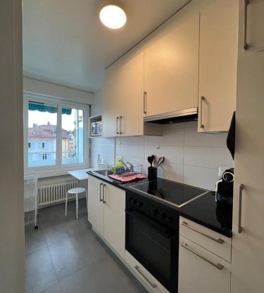Standing Apartment in Ouchy - Lausanne