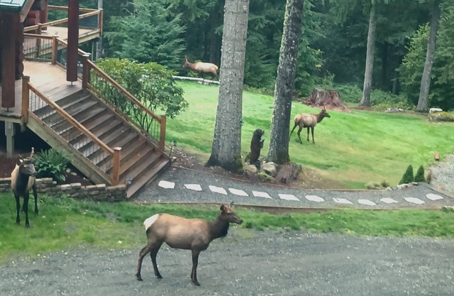 Stay at the Loft! Romantic, Quiet, Loads of Local Activities.