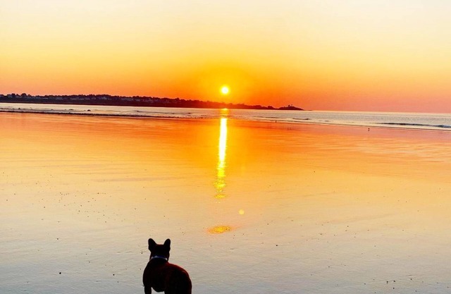 Steps from Longsands! Dog-Friendly, Family Beach House With Oceanfront Views!