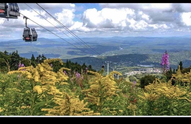 Stratton Ski Inn - Shuttle to ski - Golf course - Hot tub