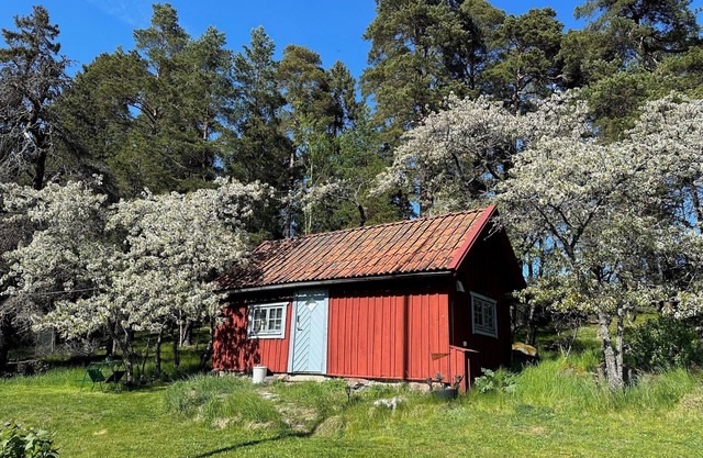 Stubbhuggets Lillstuga, a calm and quiet place with only forest and host near by