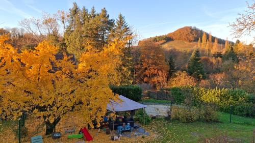 Studio 3 lits dans belle maison ancienne et jardin fermé