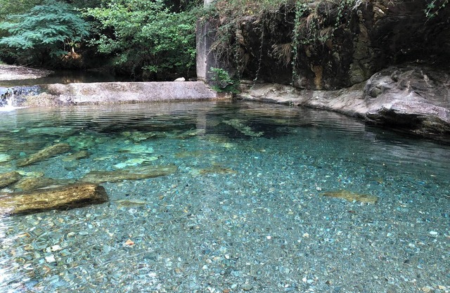 Studio Avec Terrasse Dans Mas Historique Cévenol