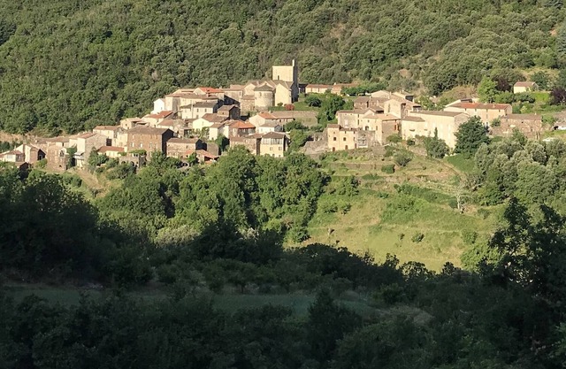 Studio Avec Patio Exterieur Coeur de Village Cevenol