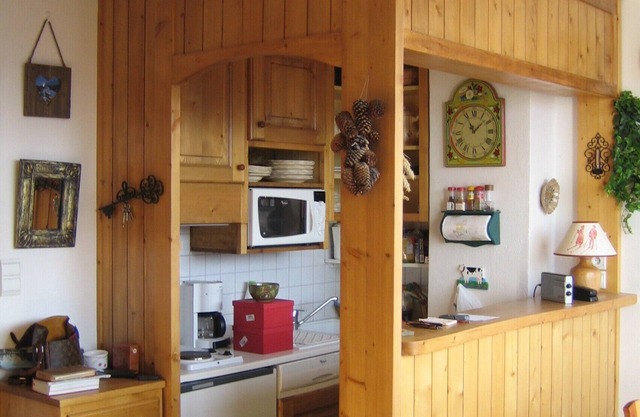 STUDIO CABIN 33m2 RESIDENCE LES CHAVONNES