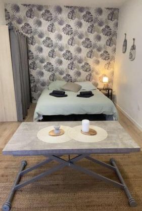 Studio Cosy - proche du centre ville