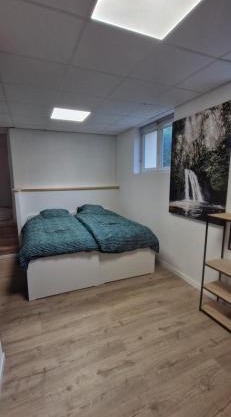 Studio des marmottes