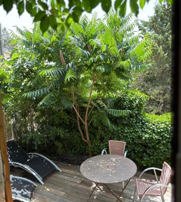 studio en provence verte