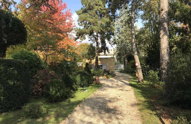 Studio Fond de Jardin