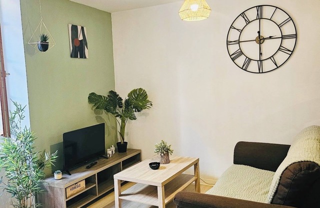 Studio Jungle Centre-ville