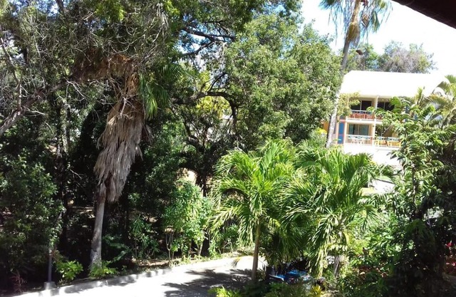 Studio Le Balisier