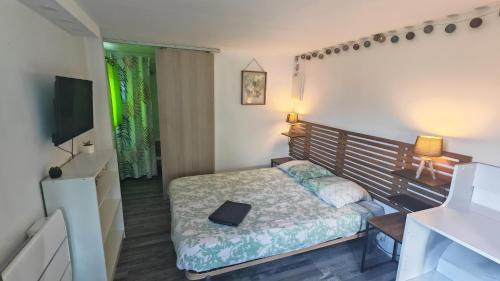 Studio Marmotte, quartier marais, terrasse en rez de jardin, matelas confort