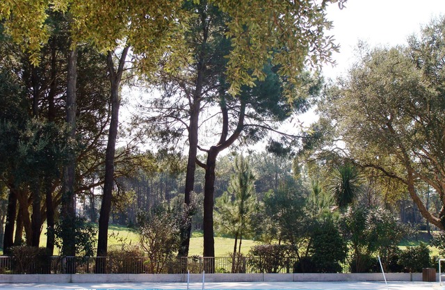 Studio - MOLIETS ET MAA