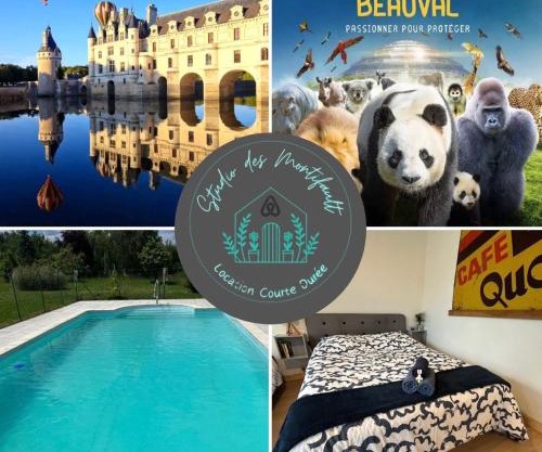 Studio proche Beauval et Châteaux de la Loire