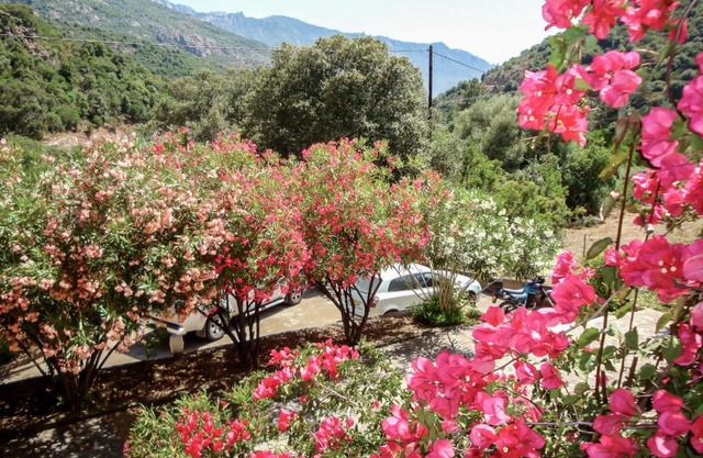 Studio Residence Cabanaccia Studio 38m² by Interhome