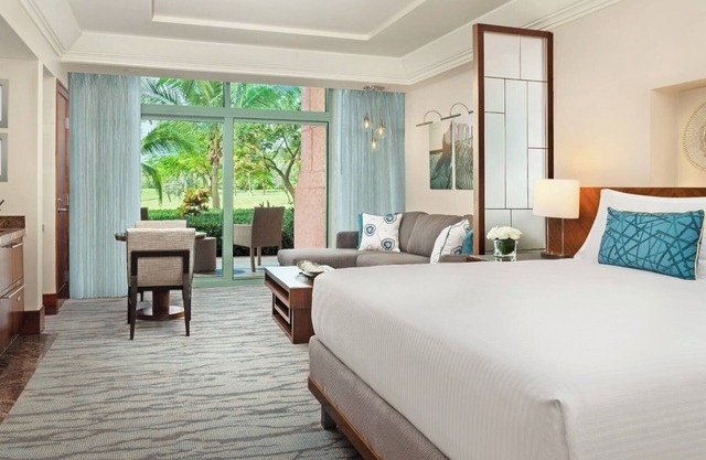 Studio Terrace View - 1 King bed and 1 Sleeper Sofa - 523 Sq Ft - Max: 3 Guests