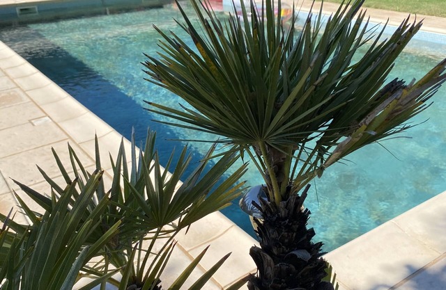 Studio with private pool. Mary's House