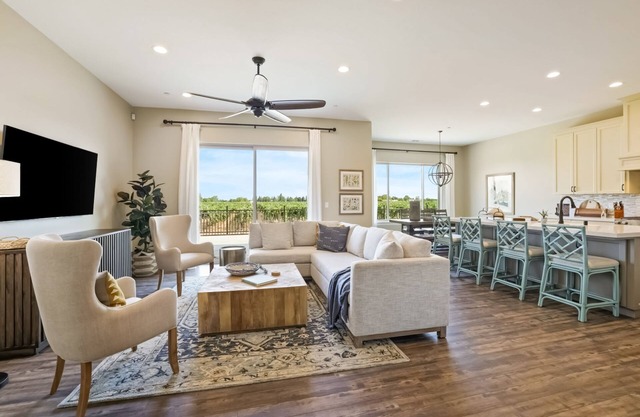 Stunning home with vineyard views, outdoor activities, & modern amenities