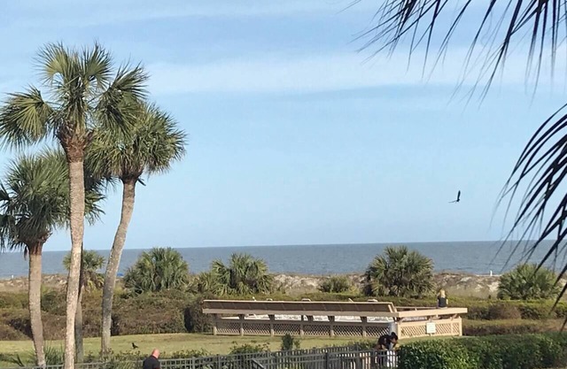 Stunning Oceanview Luxury Remodel, Bikes Included!