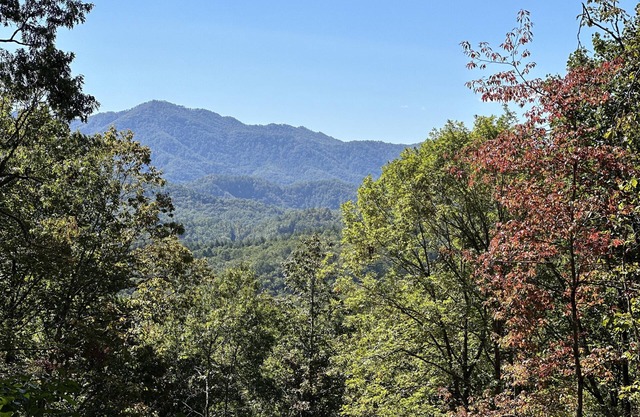 Stunning Views, Superb Atmosphere, Modern Amenities, In the Middle of Nature