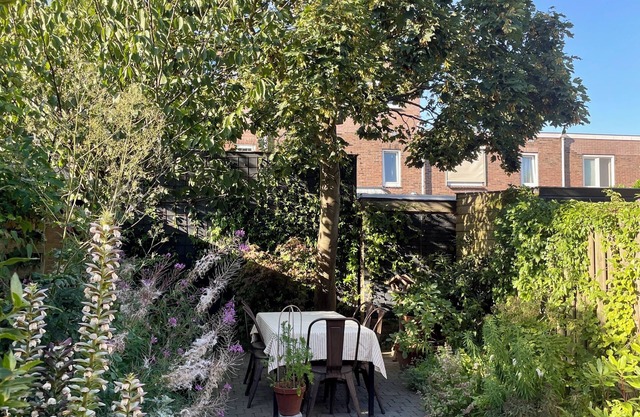 Stylish and comfortable 1930s house within biking distance of the beach