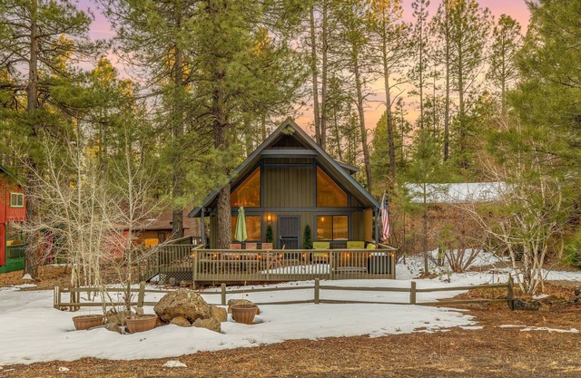 Stylish & Cozy Cabin Retreat in Munds Park!