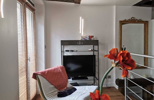 Sublime studio à la rue des Rosiers - Cœur du MARAIS