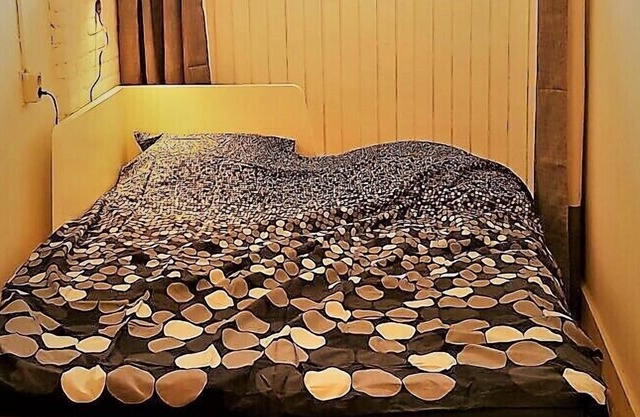 Submit documents before booking 10m2 room with bathroom inside. Check in 4pm max