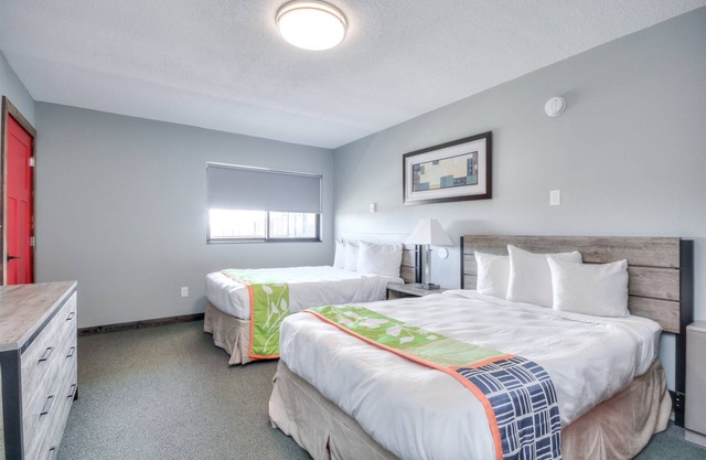 Suite 203 - 1BR Apartment | 1 Bed, 1 Bath