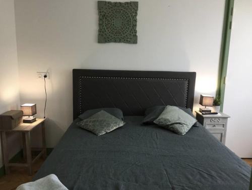 Suite Verte- wifi - gare- tennis- 2 chambres- chemin de saint jacques