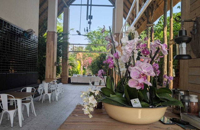 Sunbirds Lodge Chobe