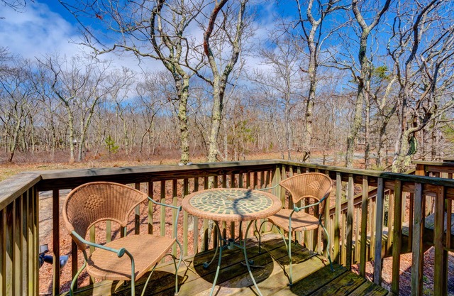 Sunlit woodland view studio with private deck & WiFi - near beaches/trails/town