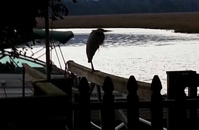Sunmist Cottage, Beautiful View, Private Deep Water Dock, Your Own Quiet Getaway