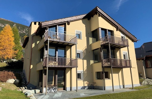 Sunny Chesa Arnica 1