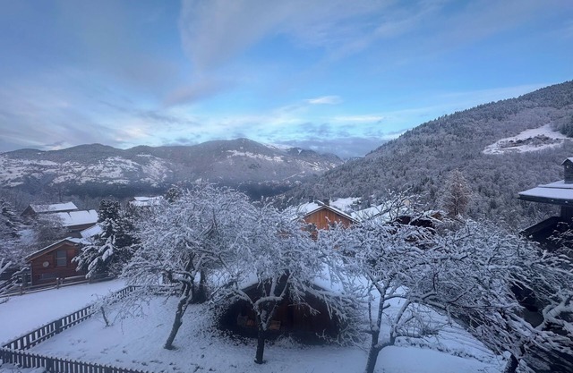 Superb chalet in the heart of the 3 valleys